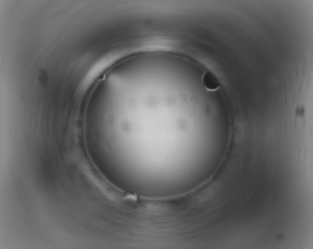 X0000114131469200910151533