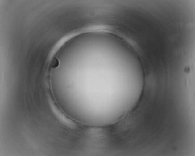 X0000114131470200910151533