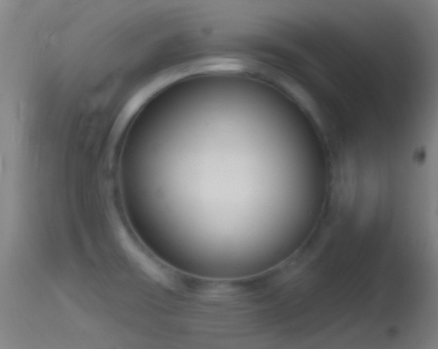 X0000114131475200910151533