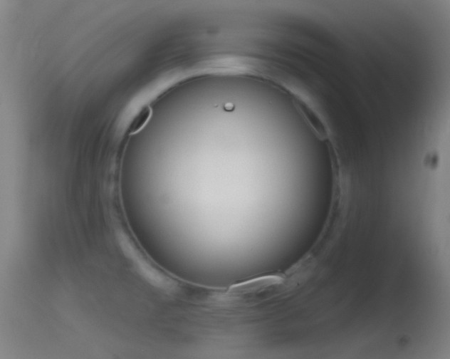 X0000114131477200910151533