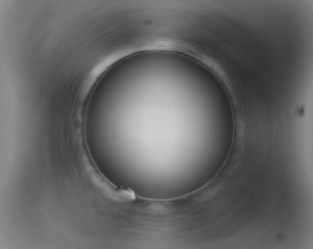 X0000114131480200910151533