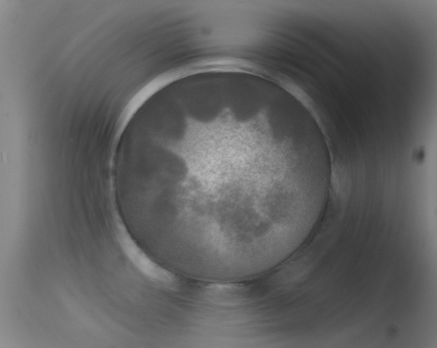 X0000114131482200910151533