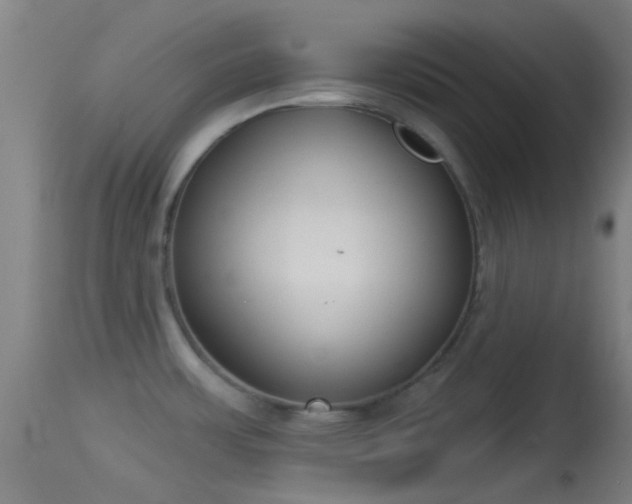 X0000114131483200910151533