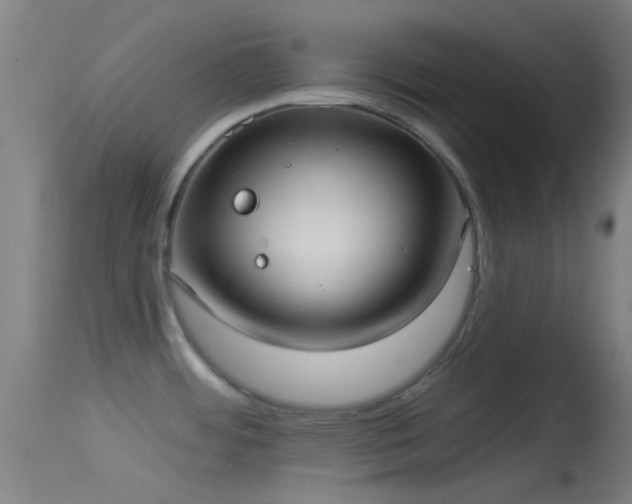 X0000114131484200910151533
