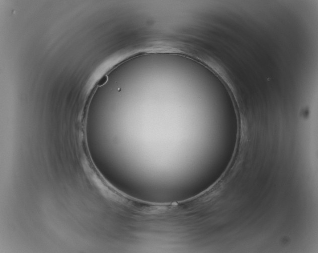 X0000114131485200910151533