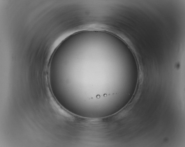 X0000114131486200910151533