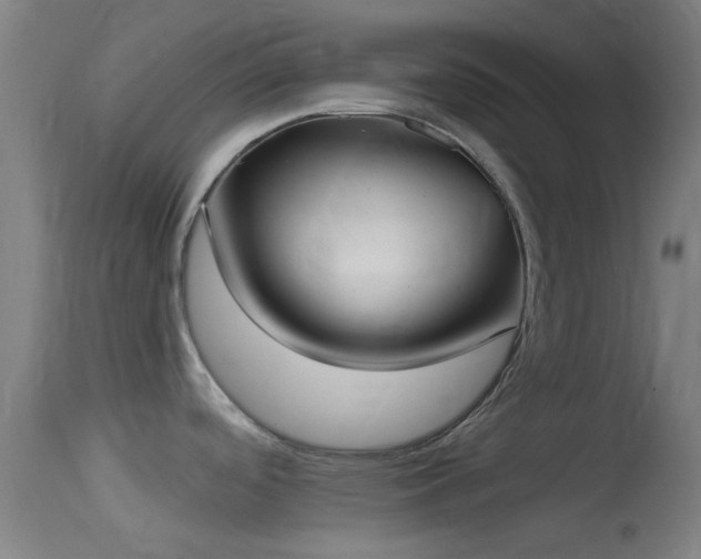 X0000114131488200910151533