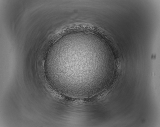 X0000114131489200910151532
