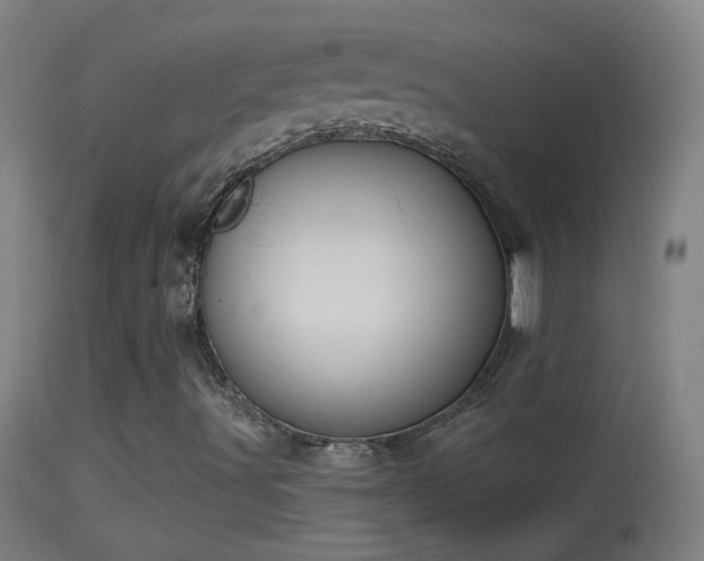 X0000114131491200910151532