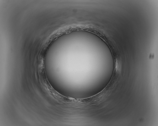 X0000114131492200910151532