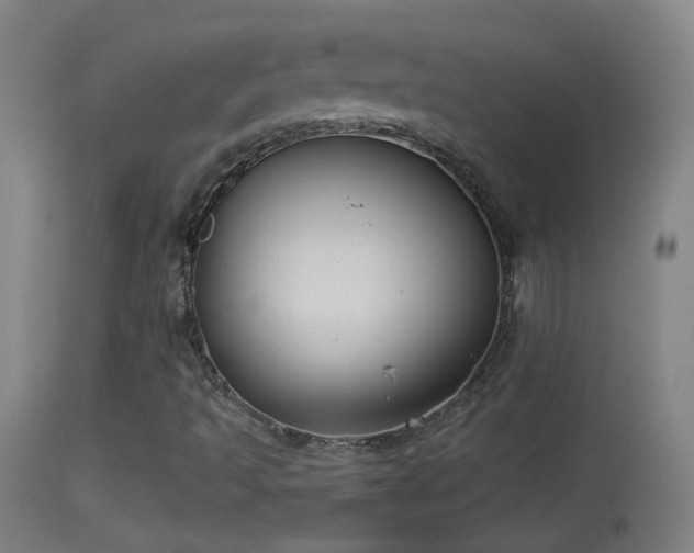 X0000114131493200910151532