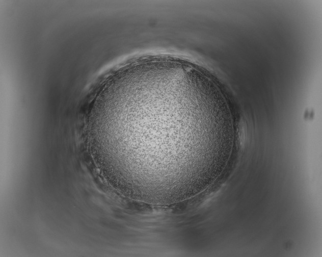 X0000114131494200910151532