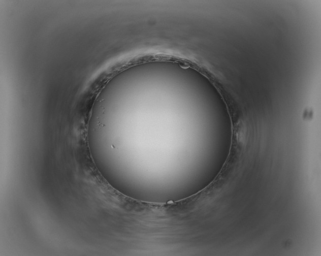 X0000114131495200910151532