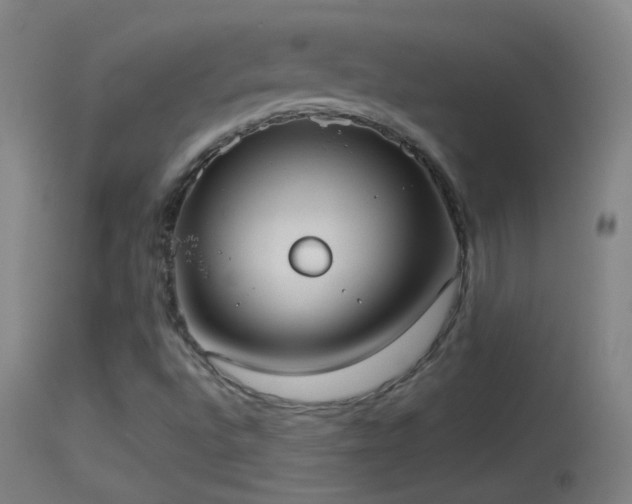 X0000114131496200910151532