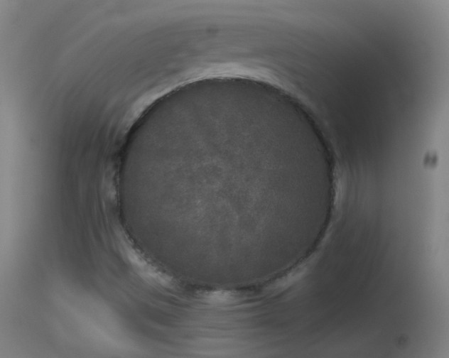 X0000114131497200910151532