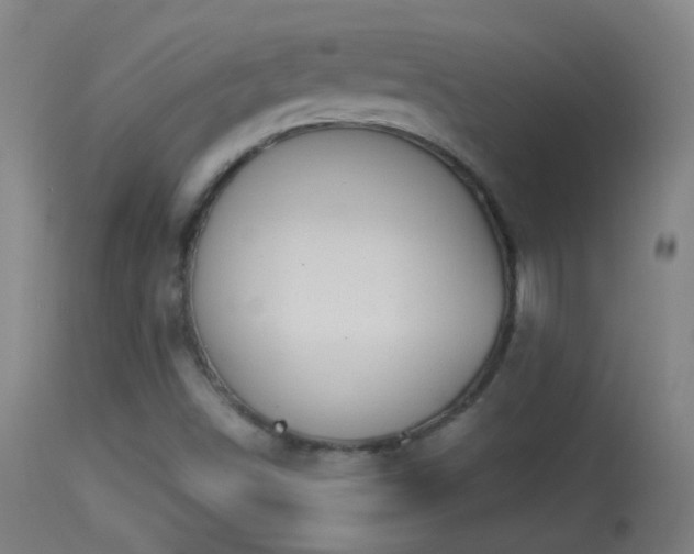 X0000114131498200910151532