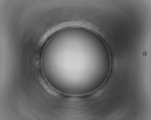 X0000114131499200910151532