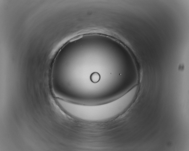 X0000114131500200910151532
