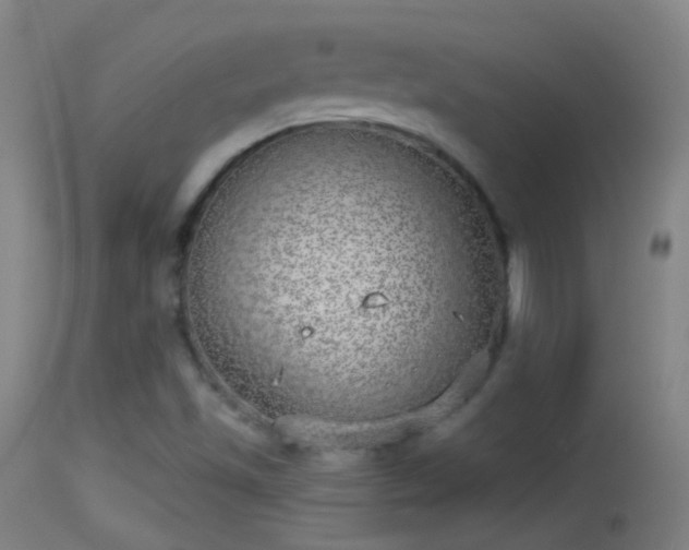 X0000114131501200910151532