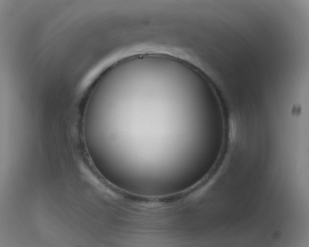 X0000114131502200910151532