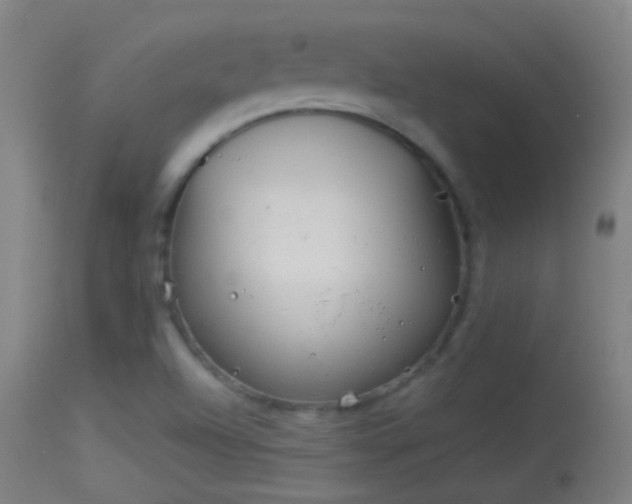 X0000114131504200910151532