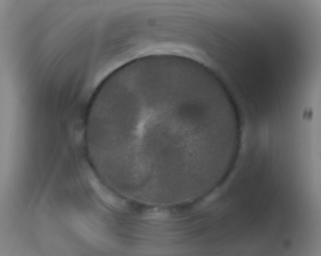 X0000114131505200910151532