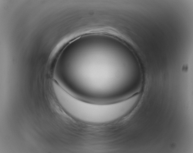 X0000114131506200910151532