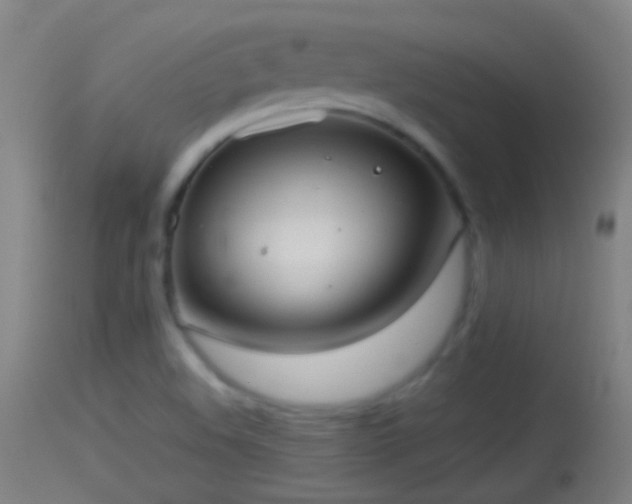 X0000114131508200910151532