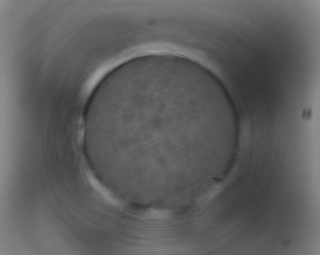 X0000114131509200910151532