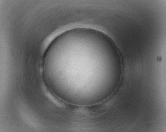 X0000114131511200910151532