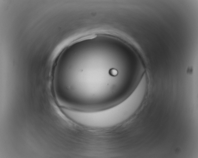 X0000114131512200910151532