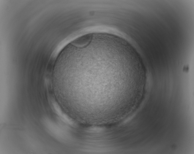 X0000114131513200910151532