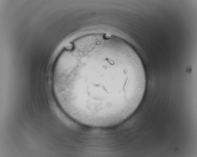 X0000114131514200910151532