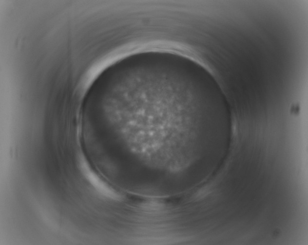 X0000114131515200910151532