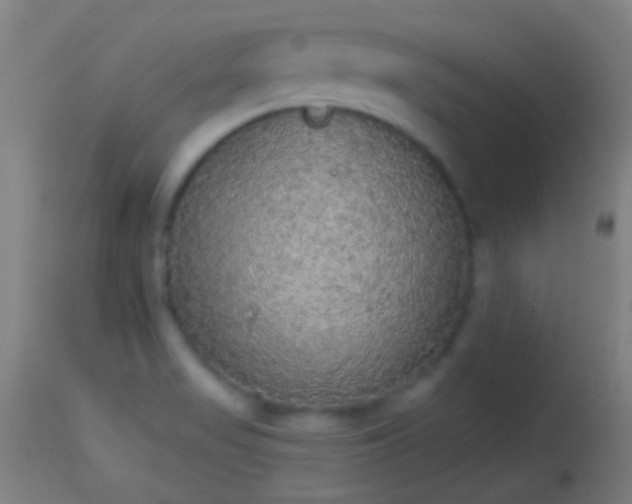 X0000114131517200910151532