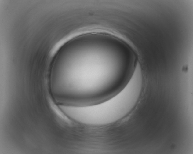 X0000114131518200910151532