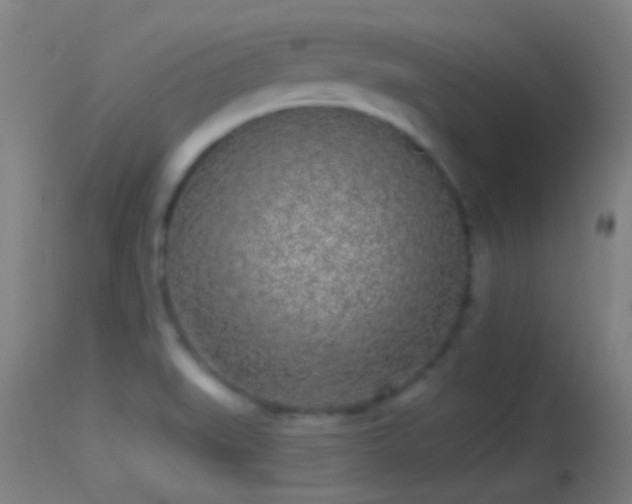 X0000114131519200910151532