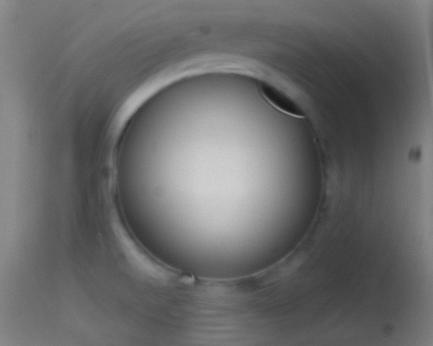 X0000114131520200910151533