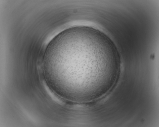 X0000114131521200910151533