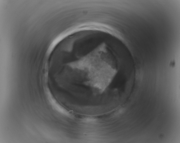 X0000114131522200910151533