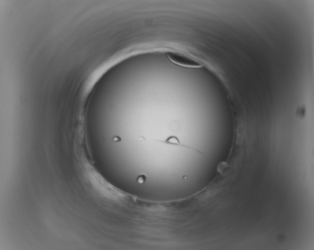 X0000114131524200910151533