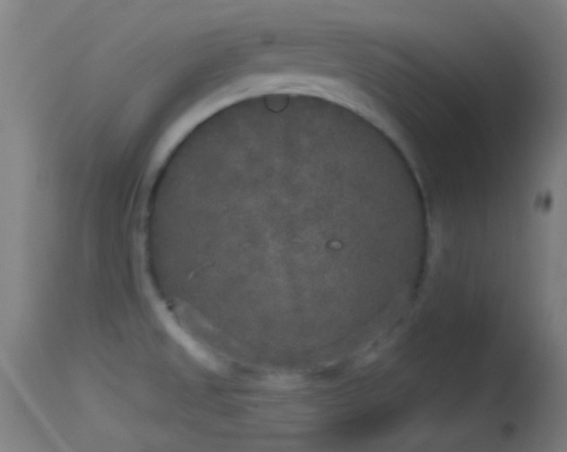 X0000114131525200910151533