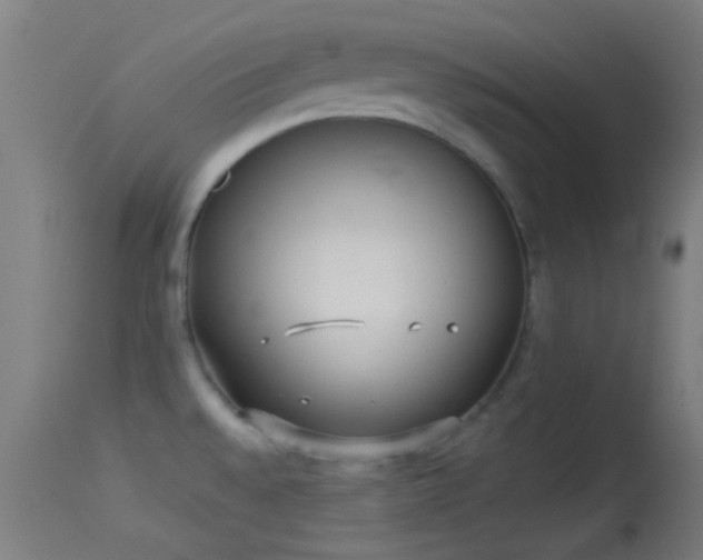 X0000114131528200910151533