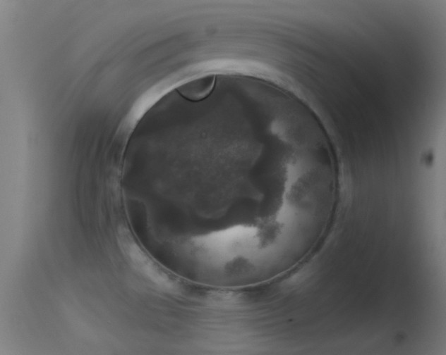 X0000114131529200910151533