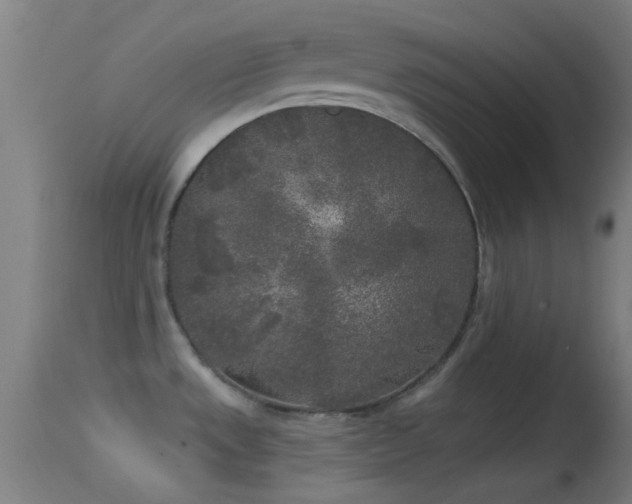 X0000114131533200910151533
