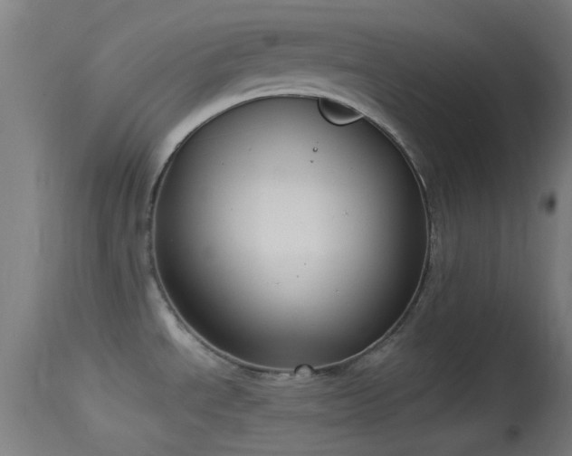 X0000114131534200910151533