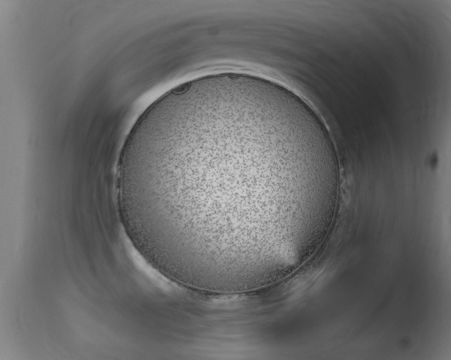 X0000114131535200910151533