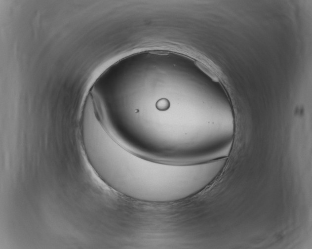 X0000114131536200910151533