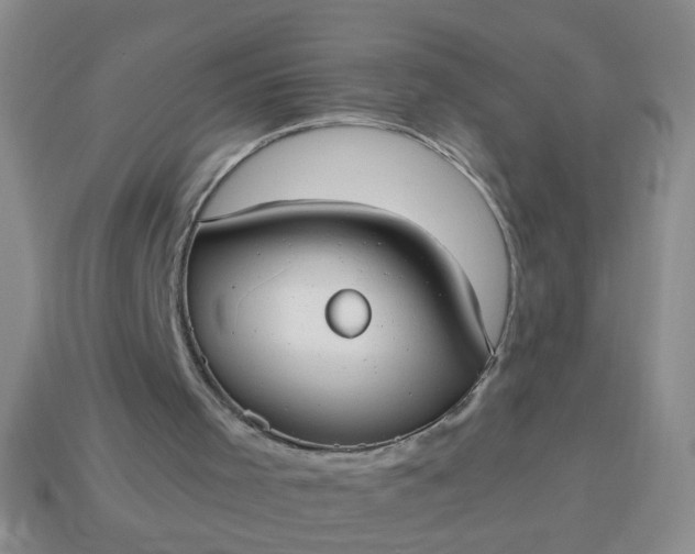 X0000114130001200910221514