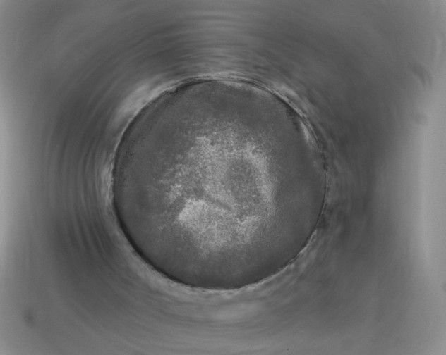 X0000114130002200910221514